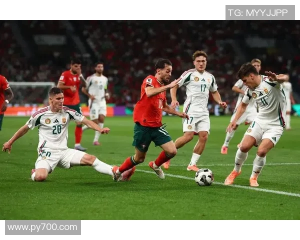 世界杯见证足球激情国家荣誉与球迷狂欢共同谱写难忘体育盛事辉煌