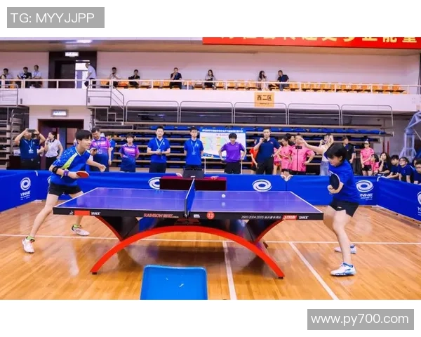 乒乓球运动的历史演变与现代技术发展对比赛风格的深远影响