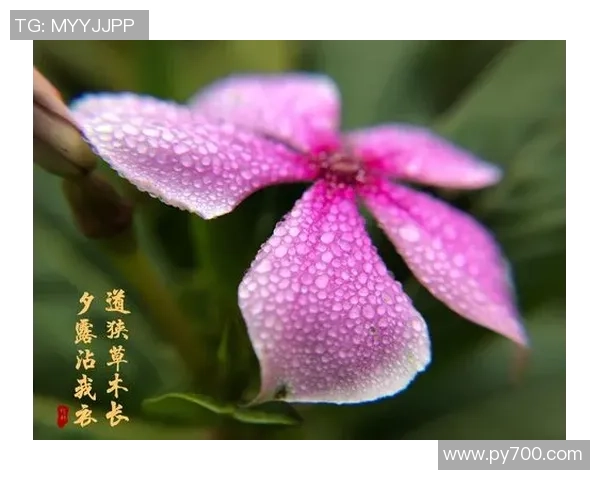 常旭再战穿越火线燃烧激情再续枪王荣耀巅峰传奇