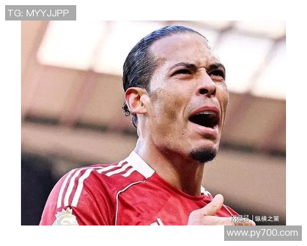 维吉尔·范迪克:从荷兰天才到世界顶级中卫的传奇之路