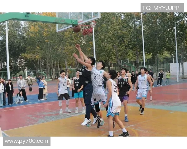 透视篮球明星成长轨迹与赛场荣耀背后坚持与梦想交织的力量篇华章